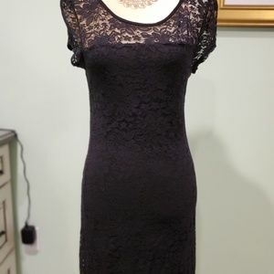 Short sleeve lace sheath dress